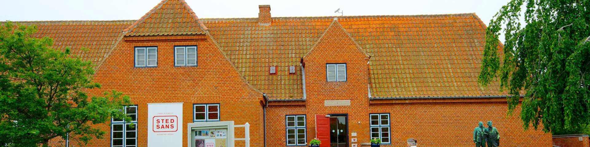 Skagens Museum featuring cycling