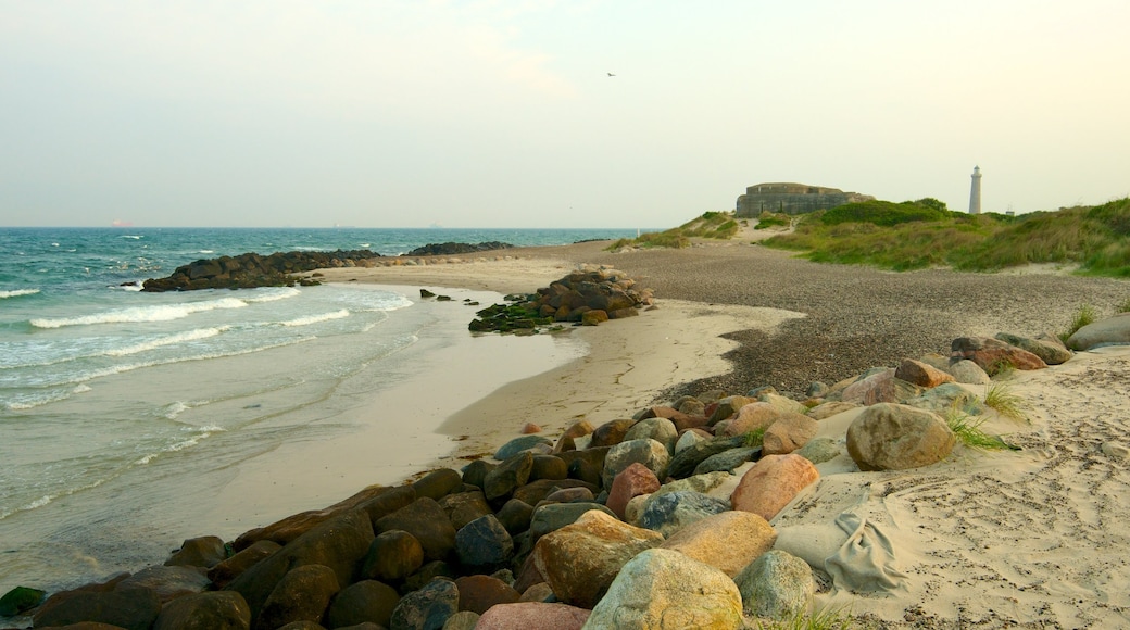 Grenen som omfatter en sandstrand og barsk kystlinje