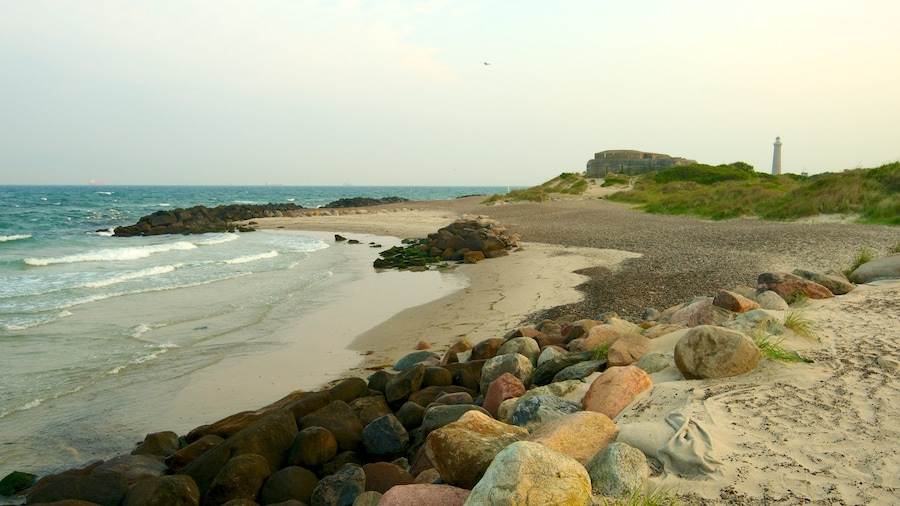 Grenen which includes rocky coastline and a sandy beach