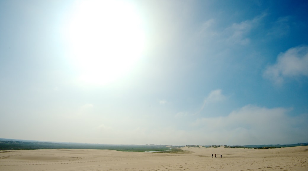 Raabjerg Mile which includes landscape views and a beach