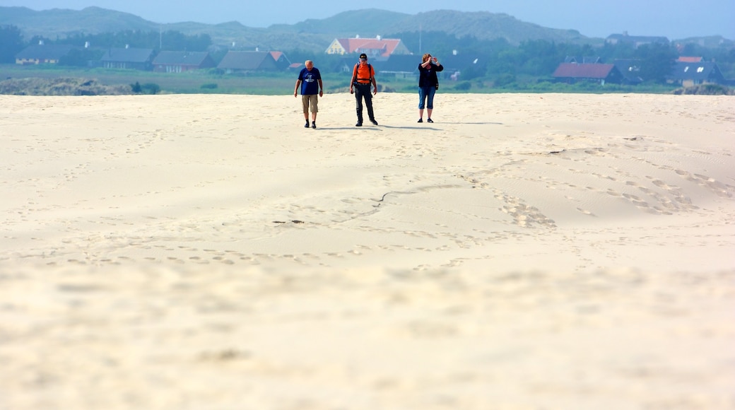 Aalbaek featuring a sandy beach as well as a small group of people