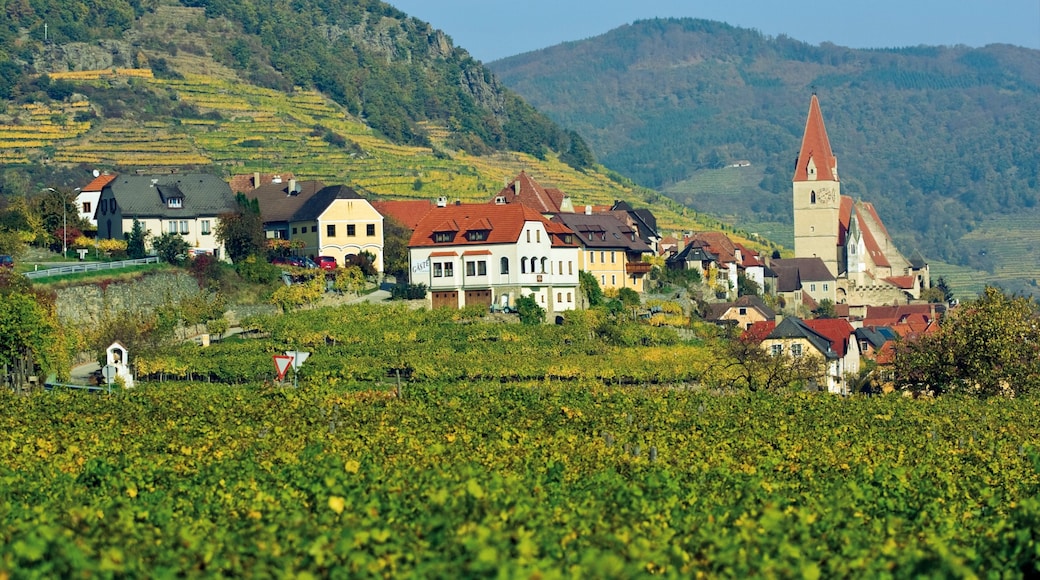 Photo provided by © Austrian National Tourist Office/ Himsl