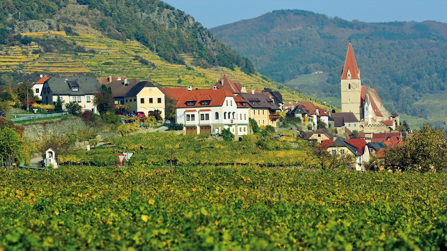 Weissenkirchen in der Wachau og byder på en lille by eller en landsby, landbrugsområde og fredfyldte omgivelser