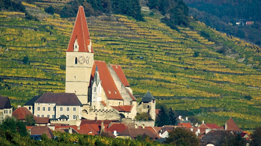 Weissenkirchen in der Wachau mostrando oggetti d\'epoca, piccola città o villaggio e paesaggi rilassanti