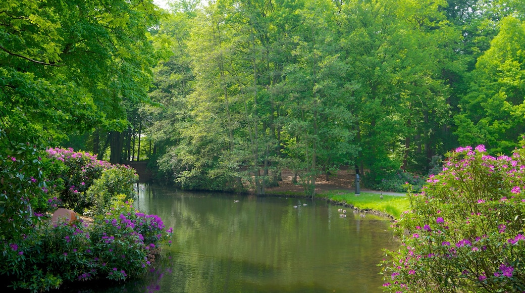 Parco Middelheim che include parco, laghetto e fiori