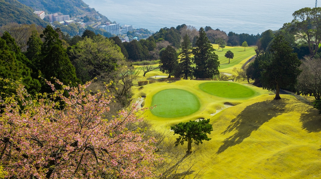 Atami showing landscape views and golf