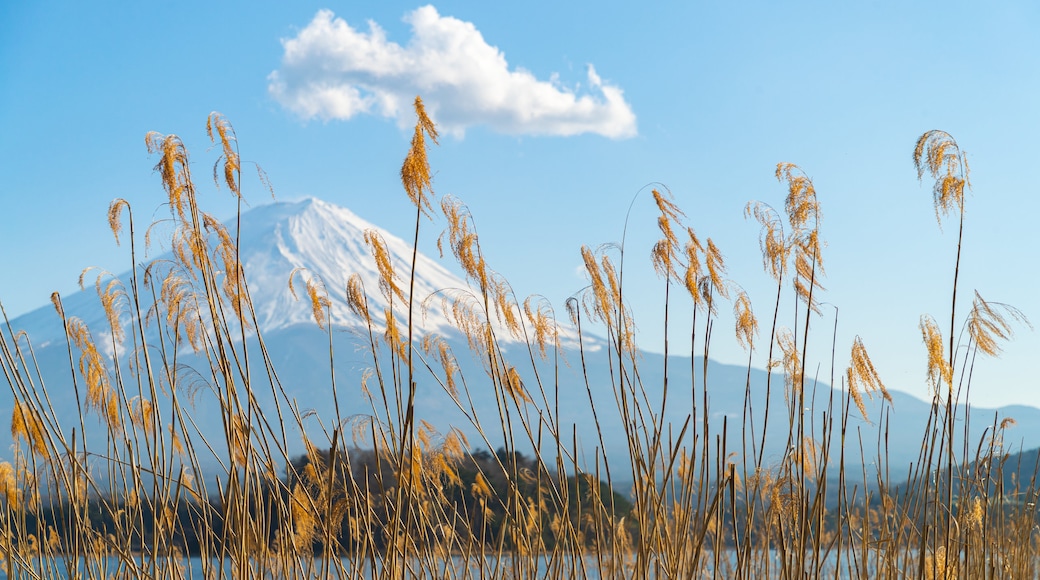 Oishi Park which includes a lake or waterhole and mountains