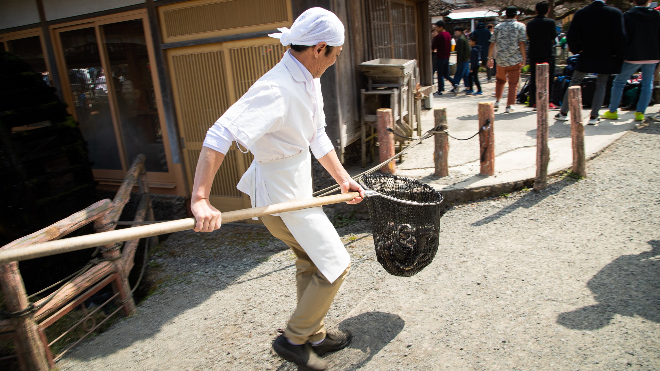 Kofu as well as an individual male