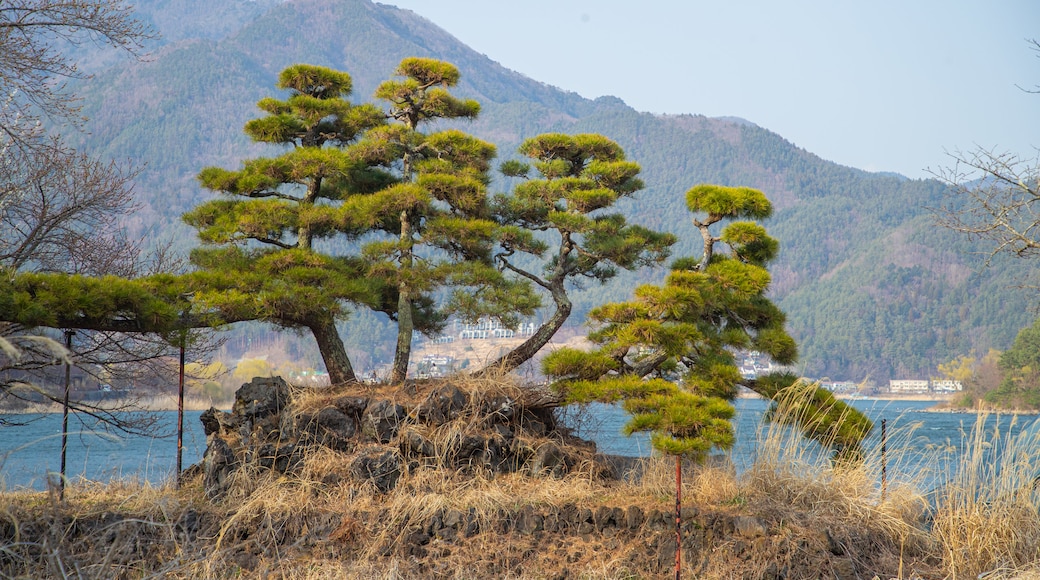 Fujikawaguchiko featuring a park and a lake or waterhole