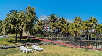 Izu Oceanic Park showing a park