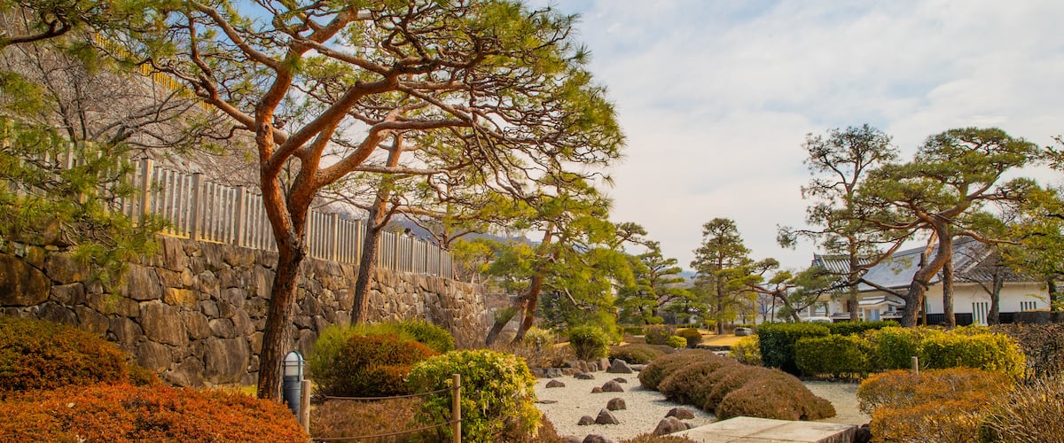 Maizurujo Park showing a park