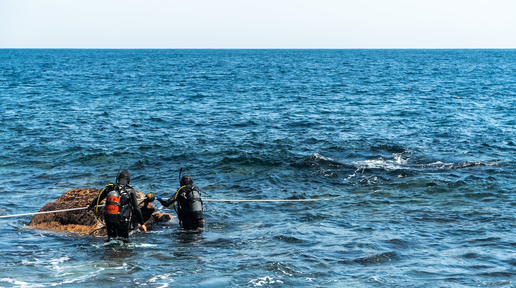 Izu Oceanic Park which includes scuba and general coastal views as well as a couple