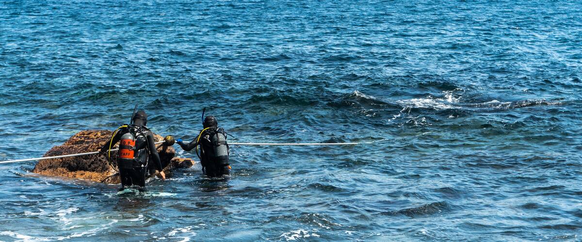 Izu Oceanic Park which includes scuba and general coastal views as well as a couple
