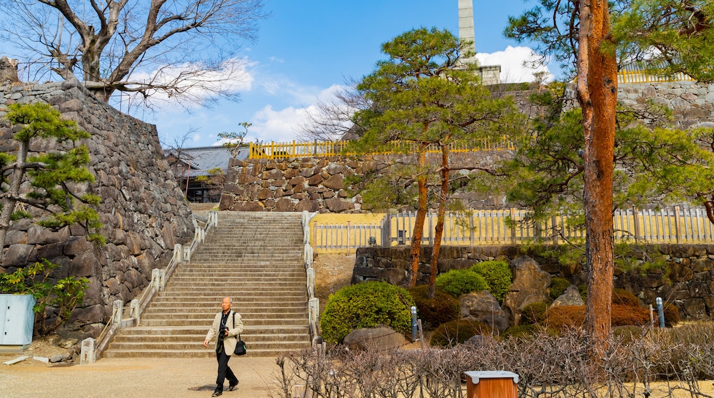 舞鶴城公園