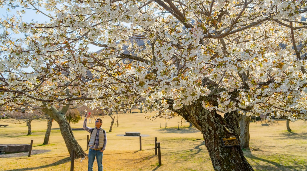 Sakura no Sato which includes wildflowers as well as an individual male