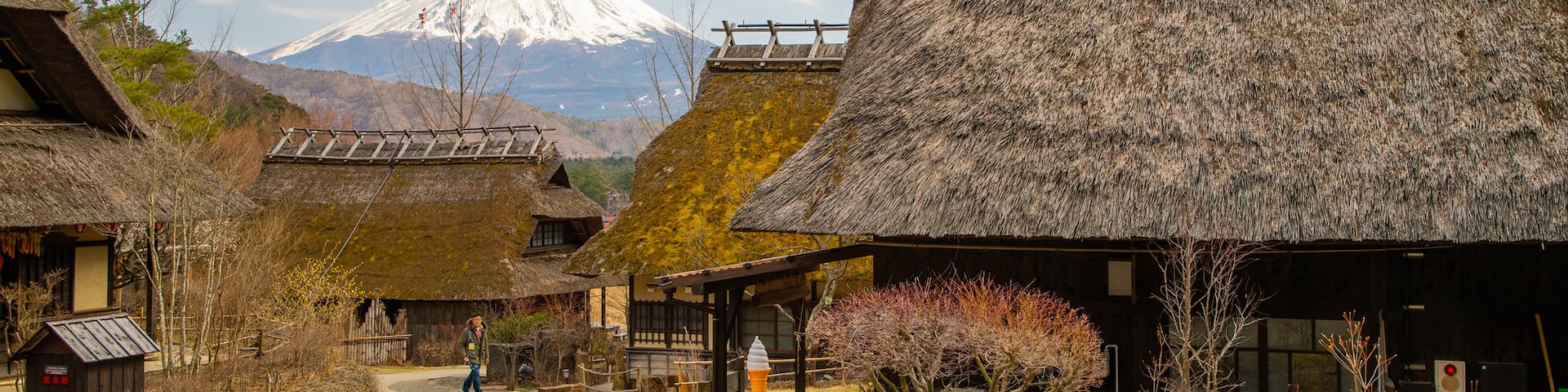 Lake Saiko Iyashi no Sato NENBA which includes mountains and a small town or village