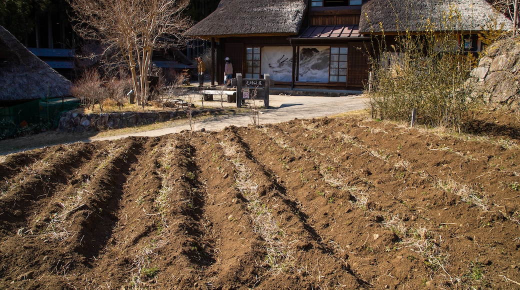 Lake Saiko Iyashi no Sato NENBA