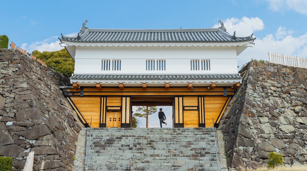 Maizuru Castle