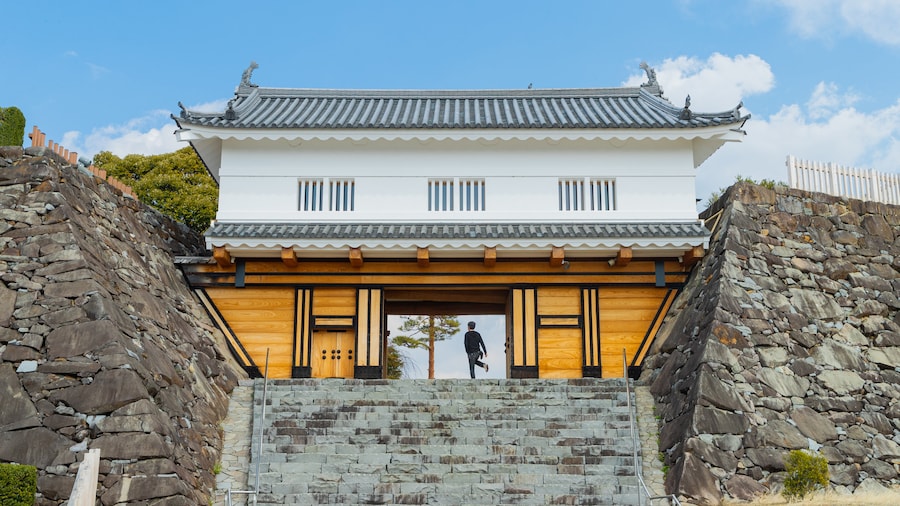 Kastil Maizuru