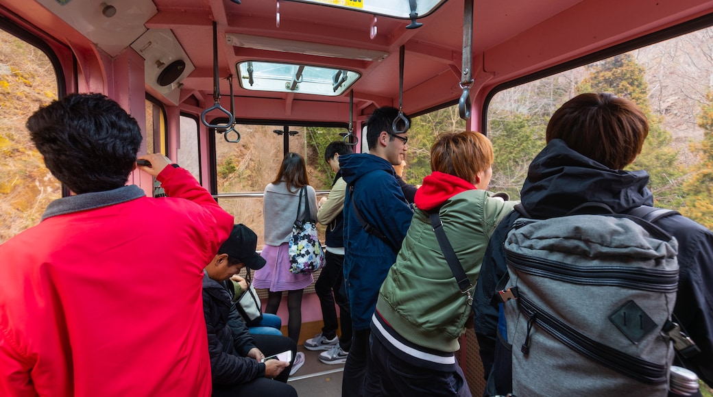 昇仙峽纜車