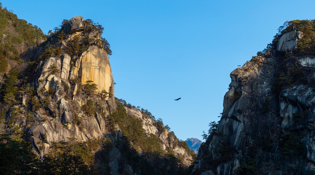 Shosenkyo which includes tranquil scenes and a gorge or canyon