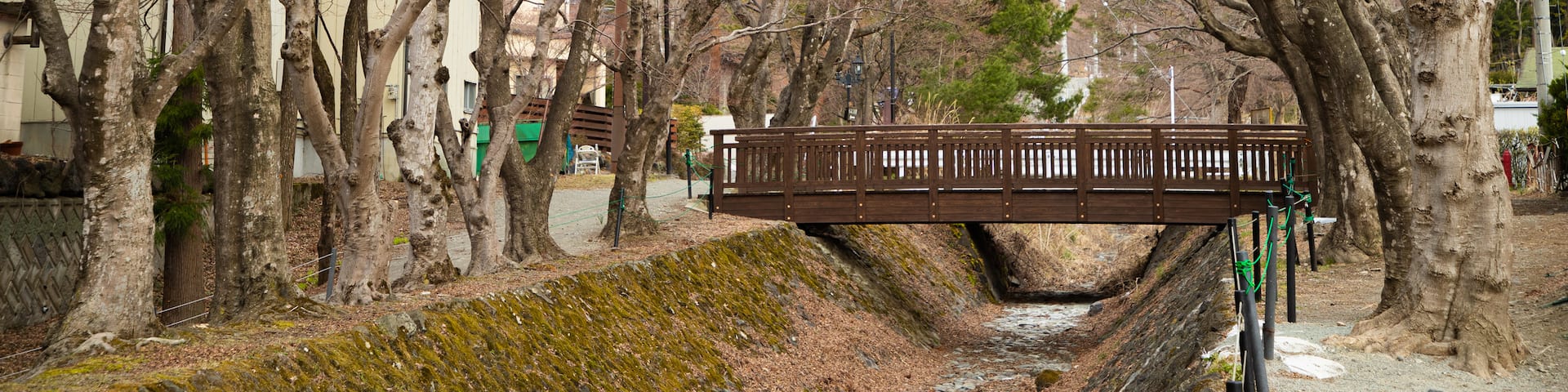 Maple Corridor showing a bridge