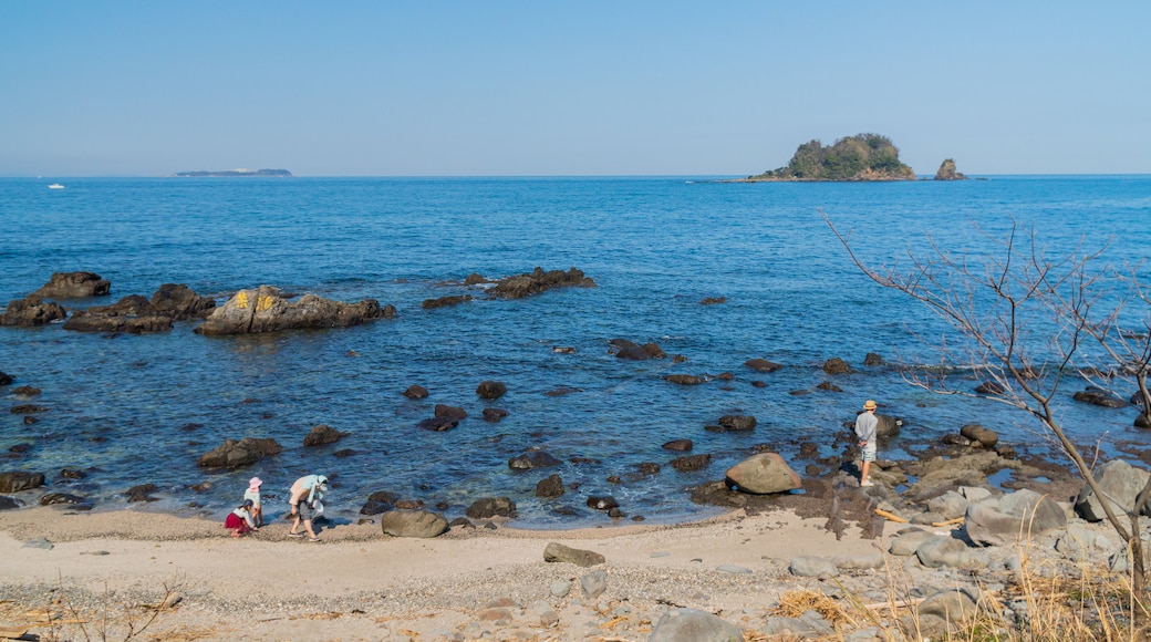 Kawana Beach featuring general coastal views and a sandy beach as well as a family