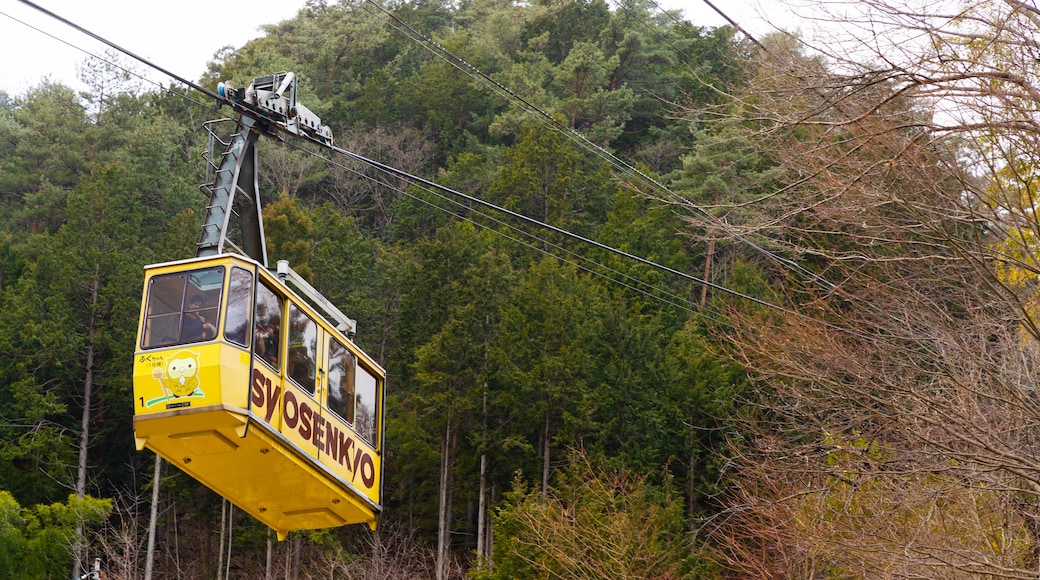 昇仙峽纜車