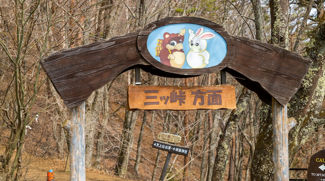 Punto Panoramico Tenjō-Yama Park Mount Kachi Kachi Ropeway