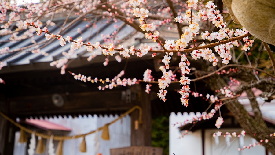 Santuario Fujiomuro Sengen