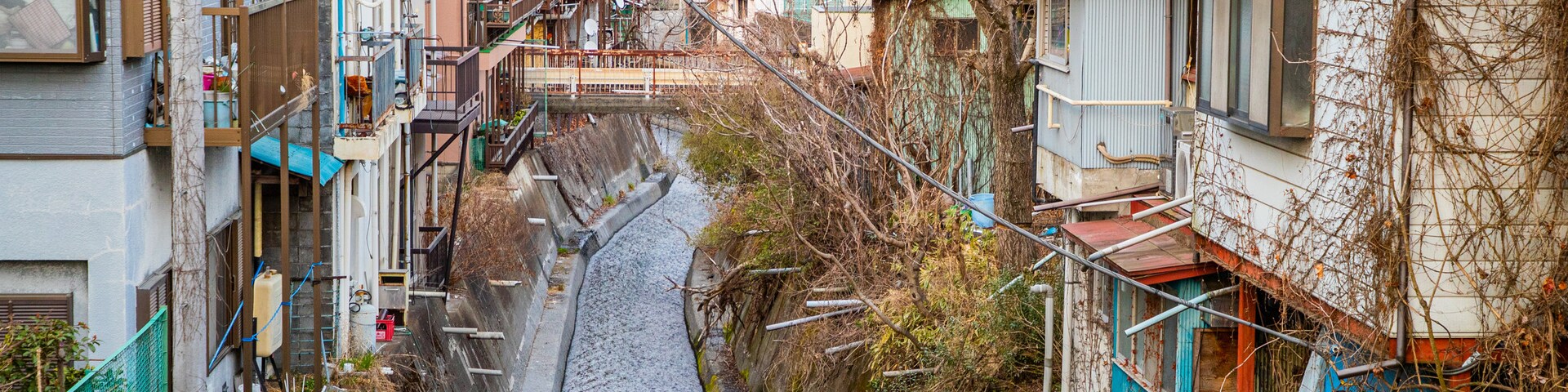 ํ์ง์์๋ค, ์ผ๋ง๋์(ํ), ์ผ๋ณธ