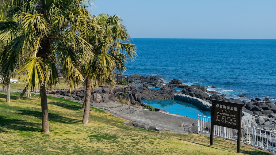 Izu Oceanic Park featuring general coastal views