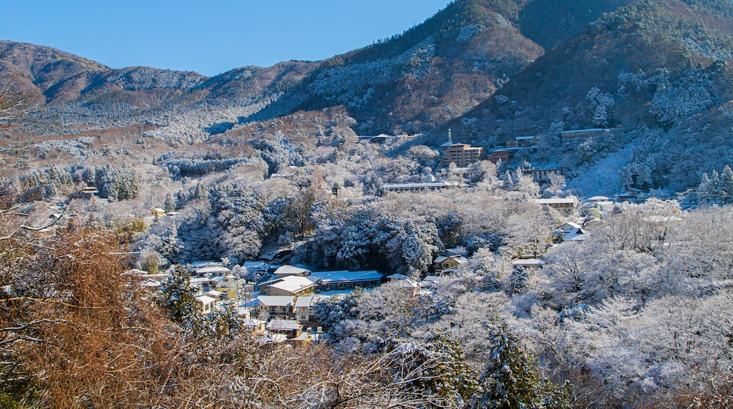 Motohakone