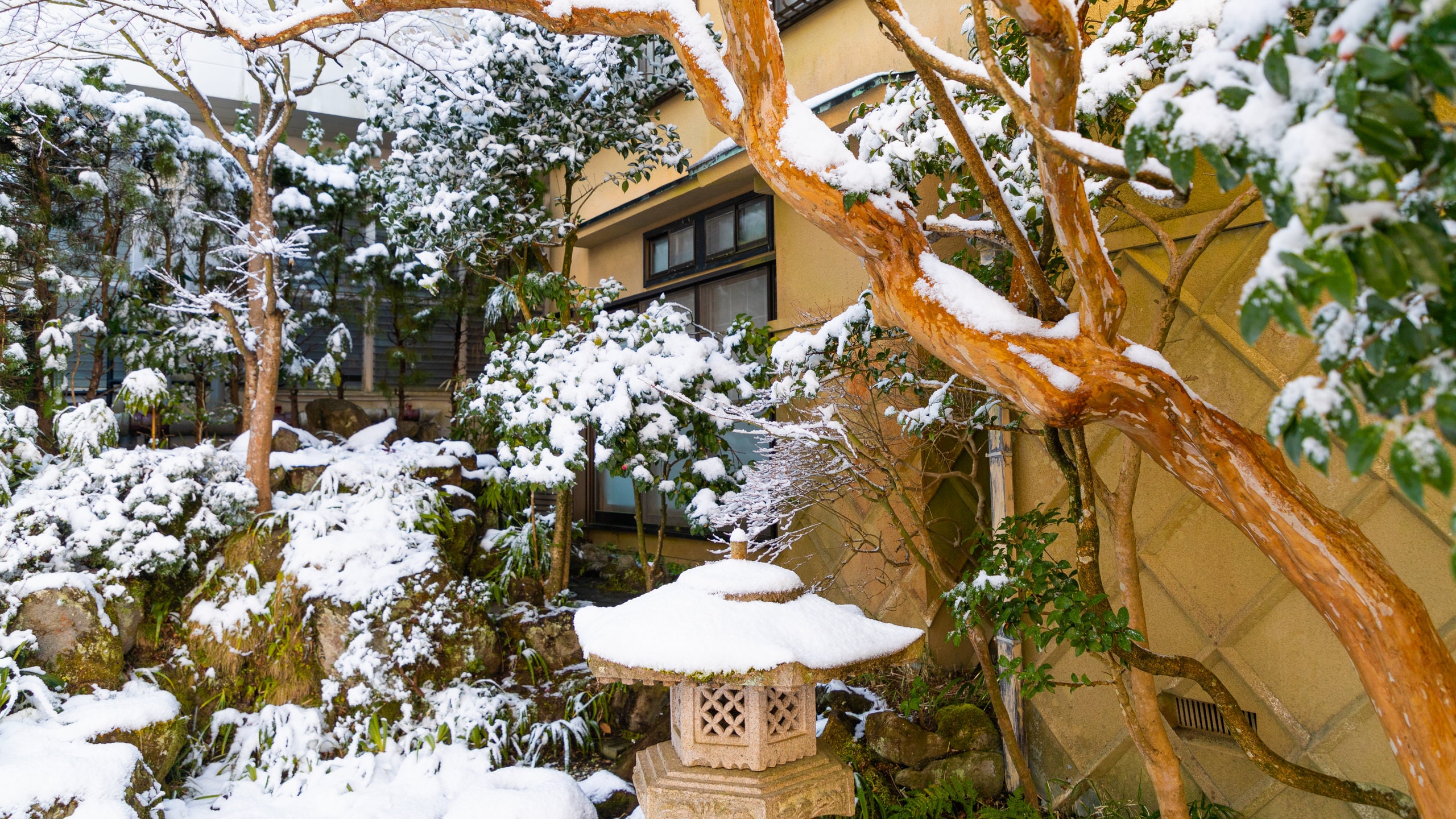 Hakone featuring snow