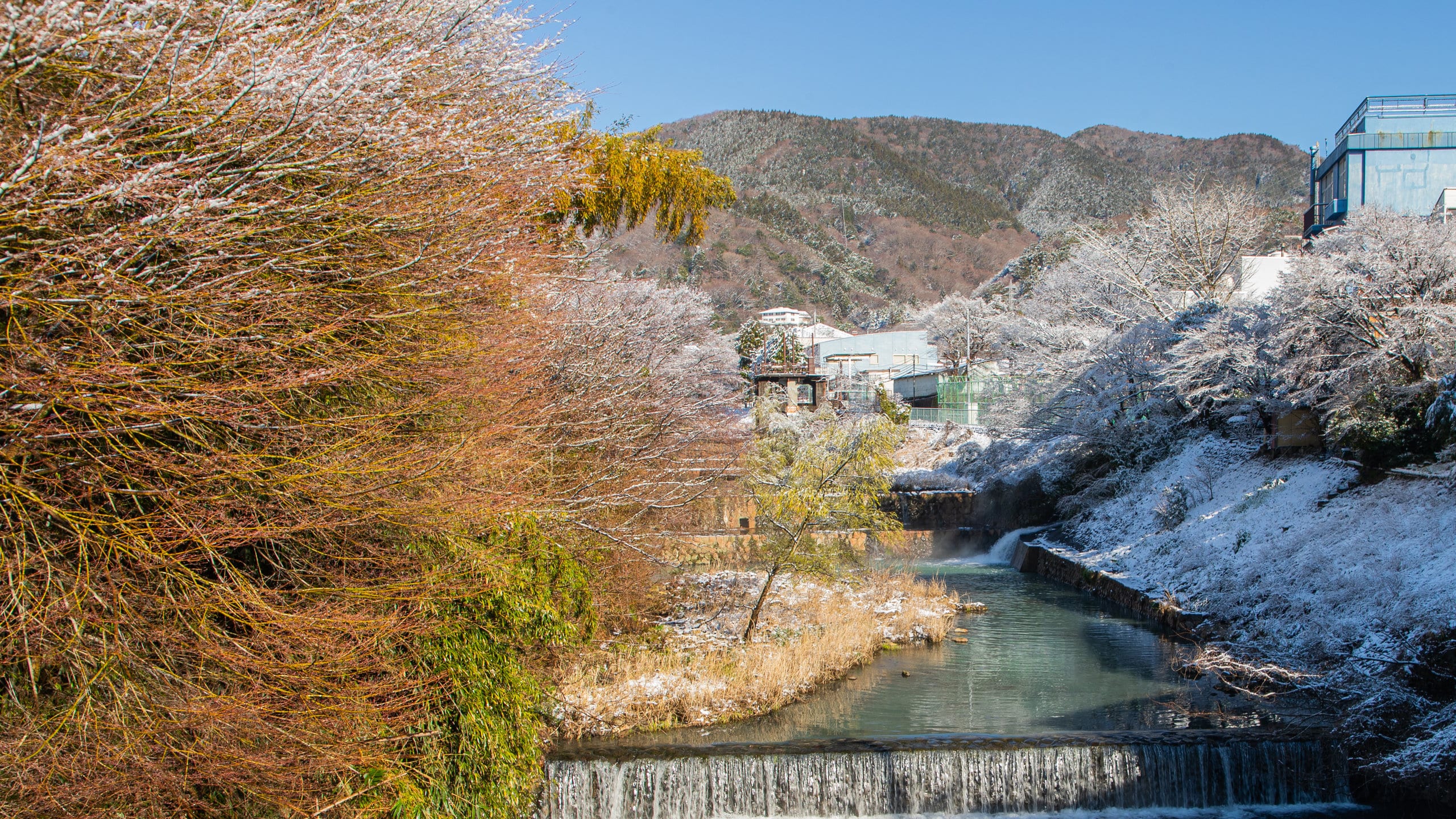 Hakone featuring a river or creek