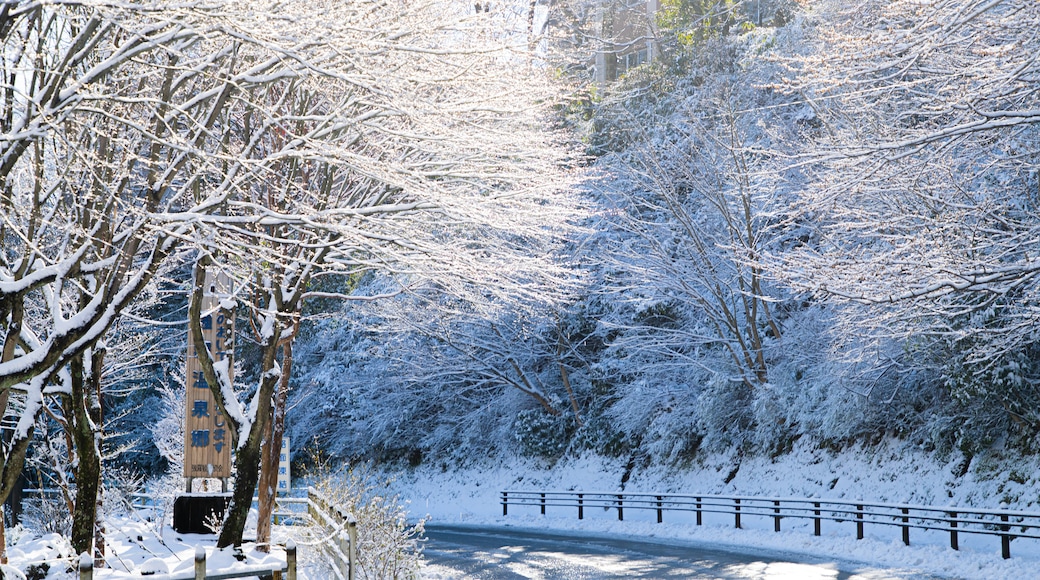 Hakone showing snow