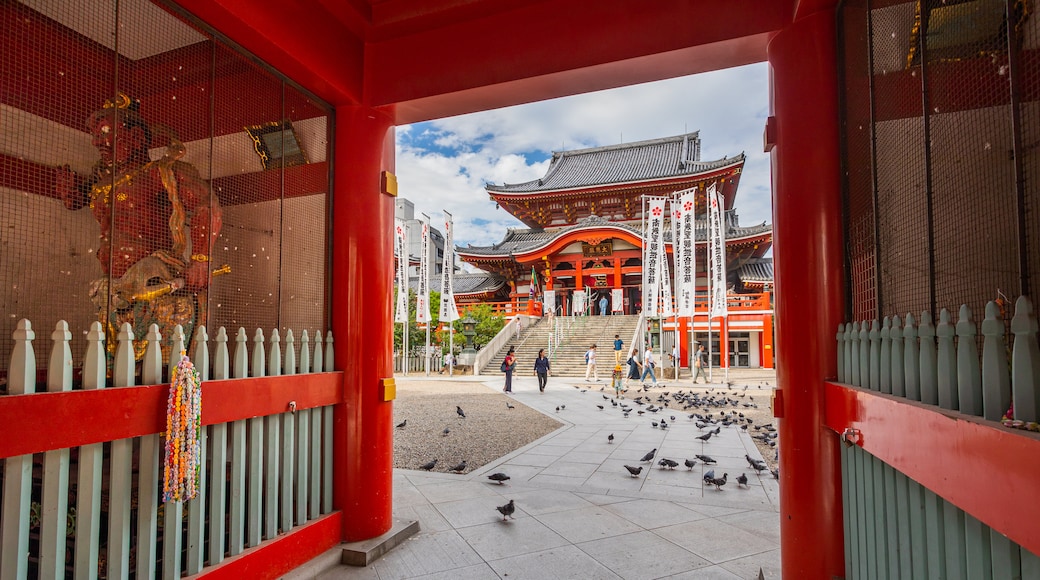 Chubu featuring heritage architecture, bird life and a temple or place of worship