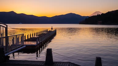 Find Book The Best Hotels In Kanagawa Prefecture For 21 Expedia