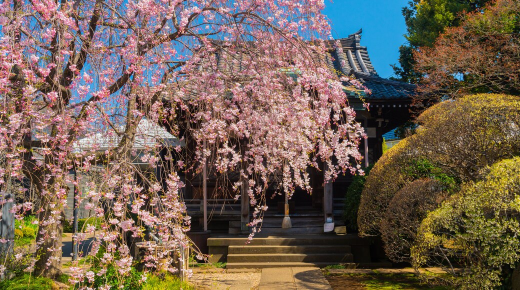 四天王寺