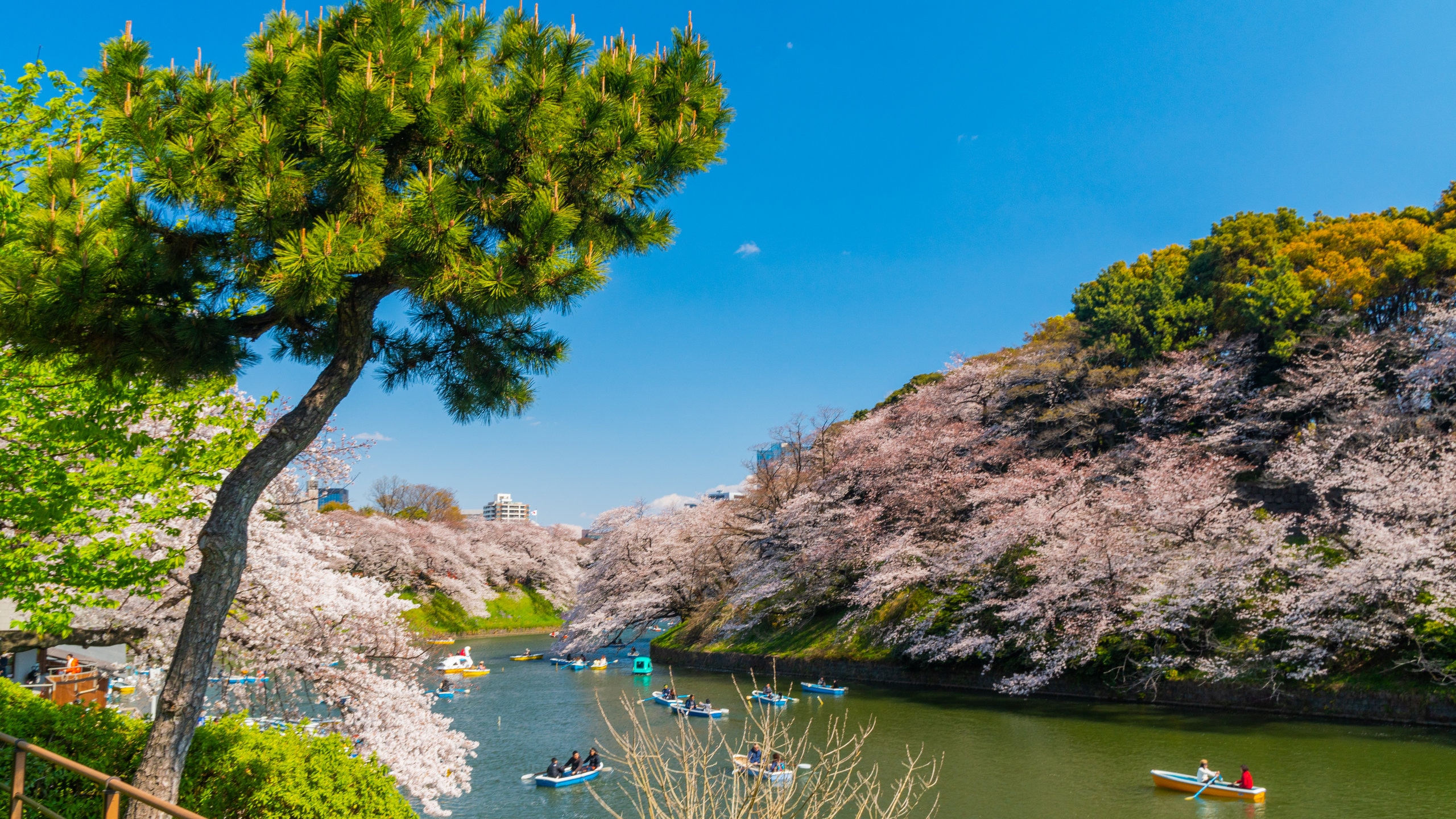 Anibg  Chiyoda-ku Tokyo