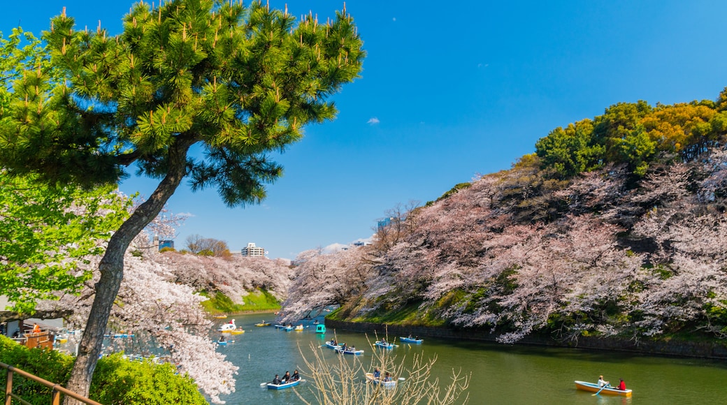 千代田