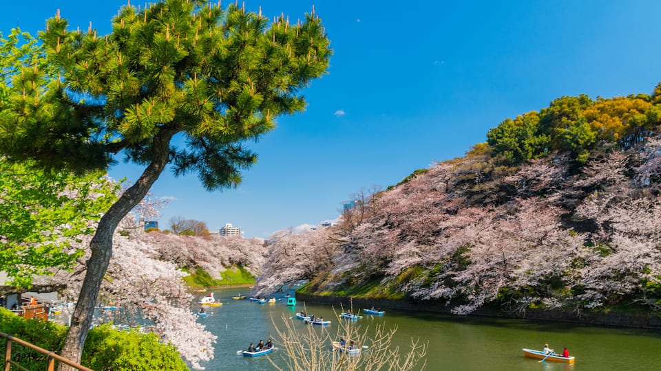 Chiyoda featuring kayaking or canoeing and a river or creek