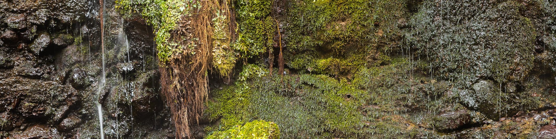 Chisuji Falls showing a waterfall