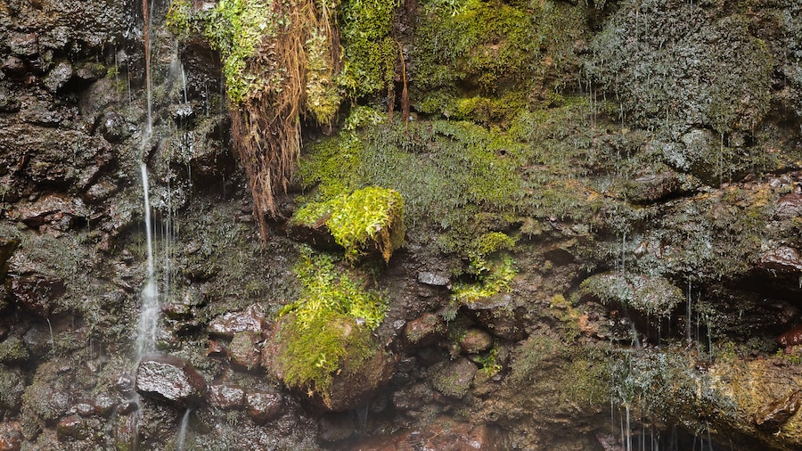 Chisuji Falls