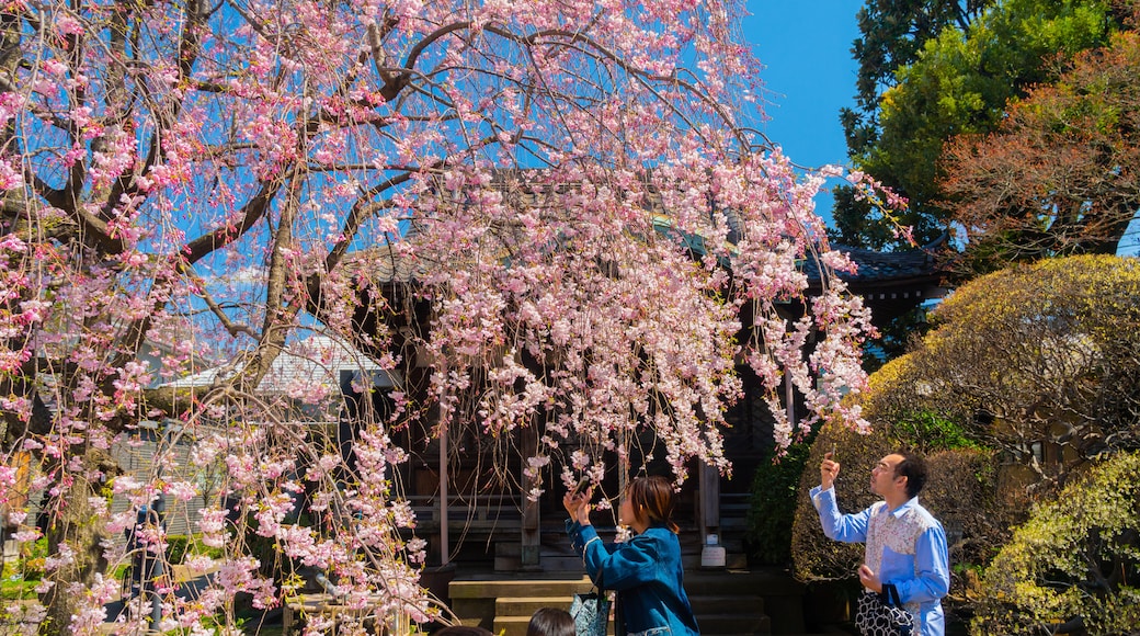 Tenno-ji-tempel