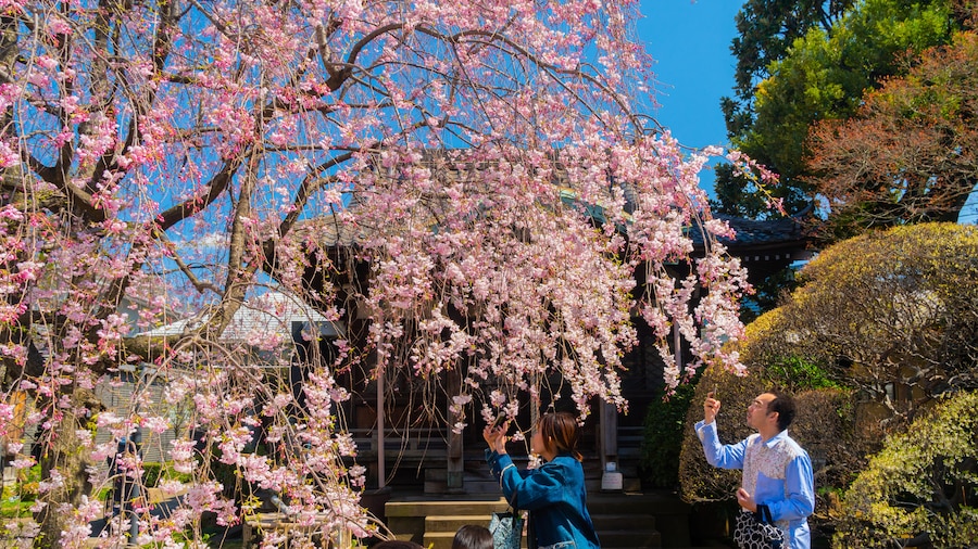 Tenno-ji Temple