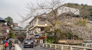 Hakone Hot Springs showing street scenes as well as a family