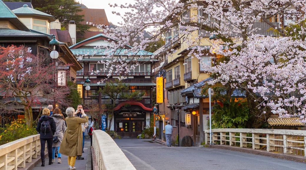 Hakone Hot Springs which includes wildflowers and street scenes as well as a couple