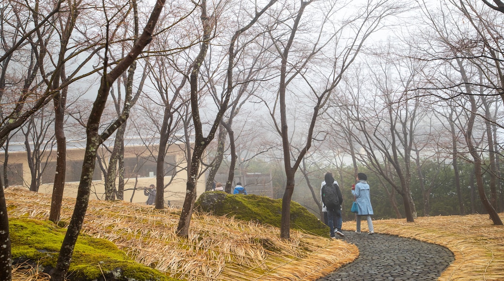 Museum voor de Kunsten van Hakone