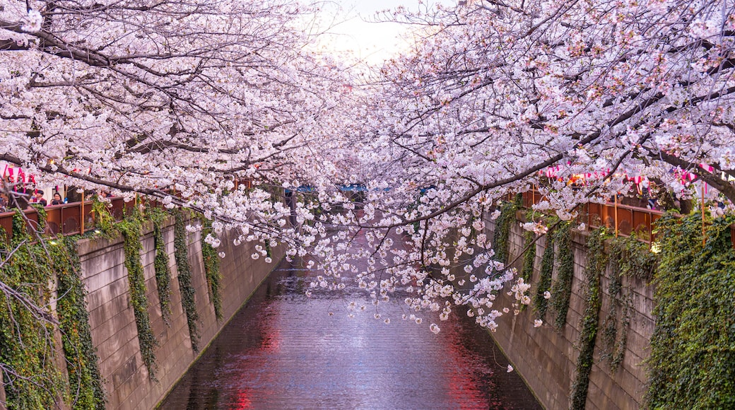 Meguro